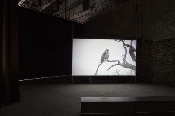 Lina Selander, Excavation of the Image: Imprint, Shadow, Spectre, Thought. Foto: Sara Sagui